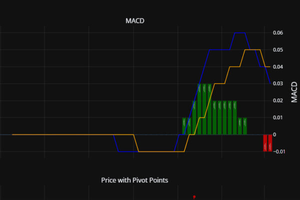 DOGE 価格パフォーマンスレポート 2025-03-10